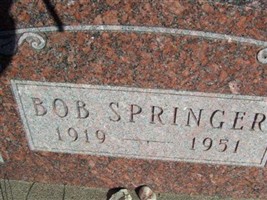 Bob Springer Bob Springer
