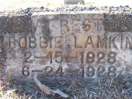 Bobbie Lamkin Bobbie Lamkin