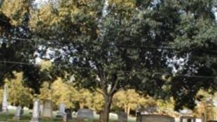 Boiling Springs Baptist Church Cemetery Boiling Springs Baptist Church Cemetery