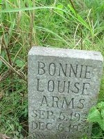 Bonnie Louise Arms