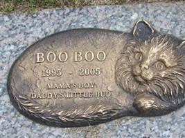 Boo Boo Unknown
