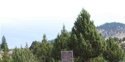 Boot Hill Cemetery