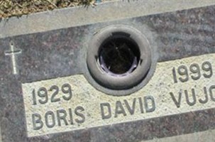 Boris David (Dave) Vujo Boris David (Dave) Vujo