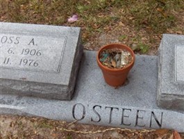 Boss A. O'Steen