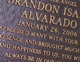 Brandon Isaac Alvarado Brandon Isaac Alvarado