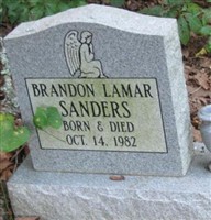 Brandon Lamar Sanders Brandon Lamar Sanders