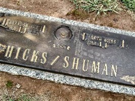 Brandon Lee Hicks Brandon Lee Hicks
