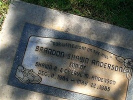 Brandon Shawn Anderson