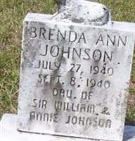 Brenda Ann Johnson