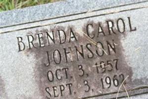 Brenda Carol Johnson