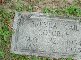 Brenda Gail Goforth