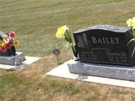 Brenda J. Bailey