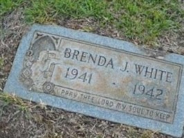 Brenda J White