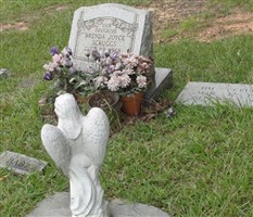 Brenda Joyce Scruggs Brenda Joyce Scruggs