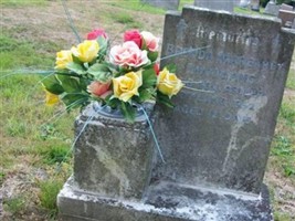 Brenda Margaret Matthams