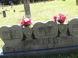 Brenda S Reed Brenda S Reed