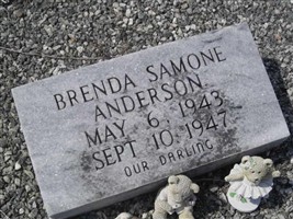 Brenda Simone Anderson