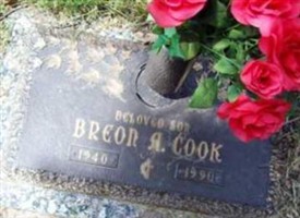 Breon Allison Cook