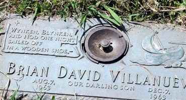 Brian David Villanueva Brian David Villanueva