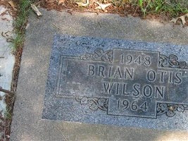 Brian Otis Wilson