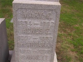Bridget A Walsh