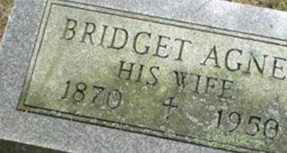Bridget Agnes Brown Walsh