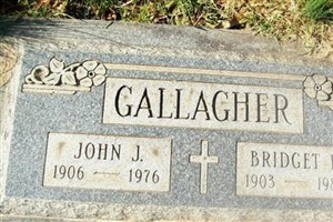 Bridget L Gallagher