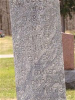 Bridget O'Connell