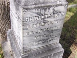 Bridget Sugru