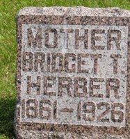 Bridget T. Herber