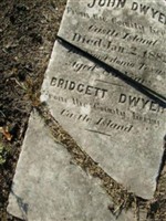 Bridgett Dwyer