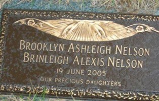 Brinleigh Alexis Nelson Brinleigh Alexis Nelson