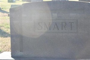Brison R Smart Brison R Smart
