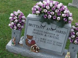Brittany Ann Jared Brittany Ann Jared