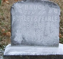 Bruce Bibb Bruce Bibb