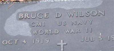 Bruce D Wilson