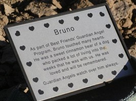 Bruno Bruno