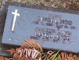 Bruno Lingolingo Bruno Lingolingo