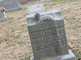 Bruno Viani Bruno Viani