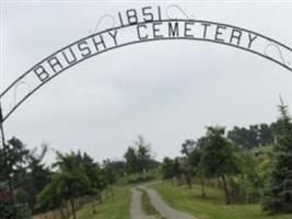 Brushy Creek Cemetery