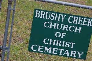 Brushy Creek Cemetery (2047426.jpg)