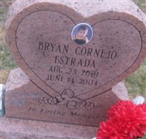 Bryan Cornejo Estrada Bryan Cornejo Estrada