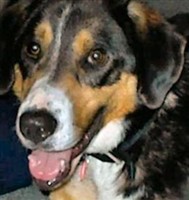 Buddy Tobias Sperazza