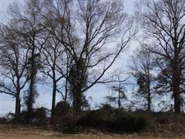 Bullington Family Cemetery