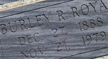 Burley R Royal