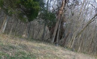 Burney-Newell Cemetery