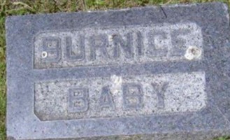 Burnice Berryhill Burnice Berryhill