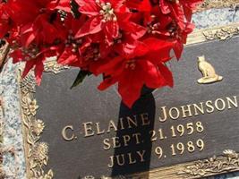 C. Elaine Johnson