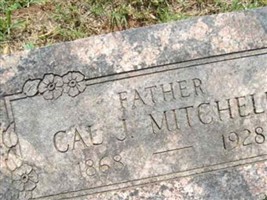 Cal J Mitchell