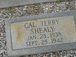 Cal Terry Shealy